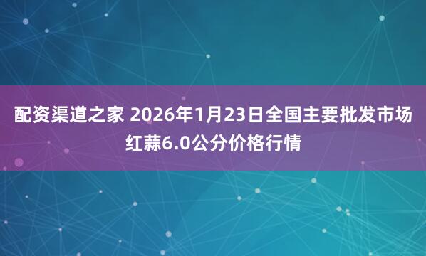 配资渠道之家 2026年1月23日全国主要批发市场红蒜6.0公分价格行情